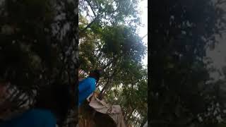 Sancoale Raw video of theft and attack by Sancoale church Padri by Funny Cats 2,074 views 4 years ago 1 minute, 49 seconds