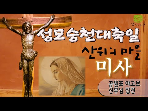 영상썸네일