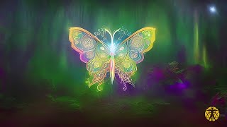 THE BUTTERFLY EFFECT   Elevate your Vibration  Positive Aura Music