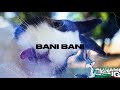 Cunami - Bani Bani