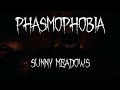 Phasmophobia Ambience - Sunny Meadows