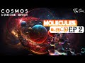 Cosmos a space odyssey  ep 2  some of the things that molecules do  tamil vaengai