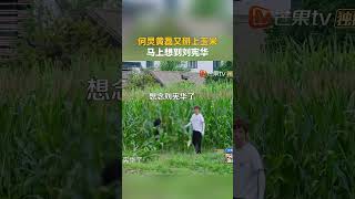 #何炅 #黄磊 掰起玉米,怀念起 #刘宪华 了 #向往的生活
