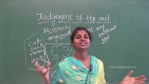 STATE 3 - EVS - JUDGEMENT OF THE OWL - PART 1