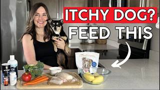 VET APPROVED Homemade Dog Food Recipe for Itchy Skin [20 Min Prep]