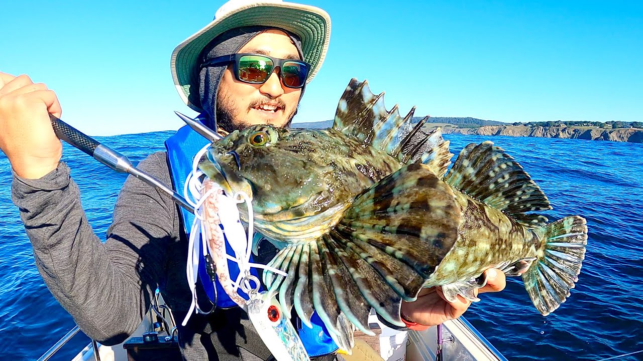 How This Fish TASTES LIKE CRAB | Solo Boat Fishing - youtube