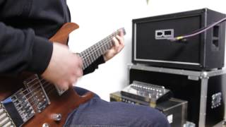 TAURUS Stomp-Head 4.SL :: Demo (mix + playthrough) / DL 2x12 Standard