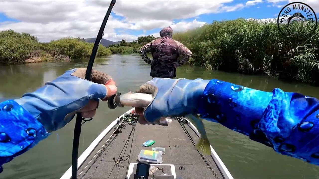 Out on the breede river