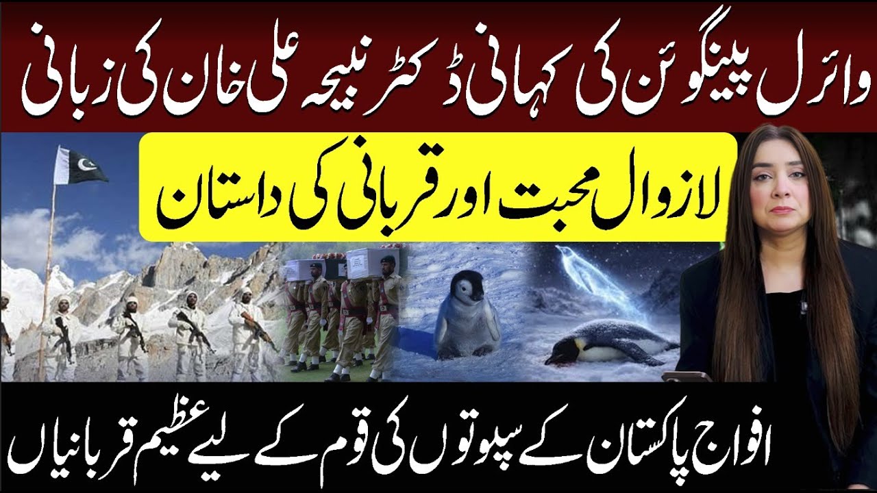 Viral Penguin Ki Kahani Dr Nabiha Ali Khan Ki Zabani - 