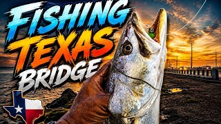 HUGE TROUT in FAMOUS TEXAS BRIDGE / GAYMAN BRIDGE
