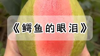 因为孩子跟谁姓的问题，老公把怀孕四个月的我丢在高速应急车道。三天后，他给我打来电话，问我知道错了没。我给他寄去离婚协议书，他慌了，觍着脸来问我在干吗#小说 #故事