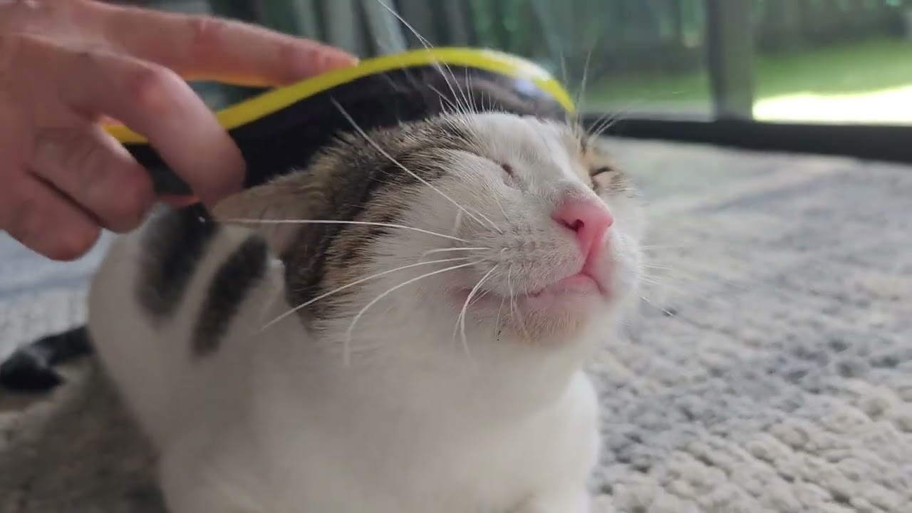 [3] Mickey showing HER CATISFACTION FACE 