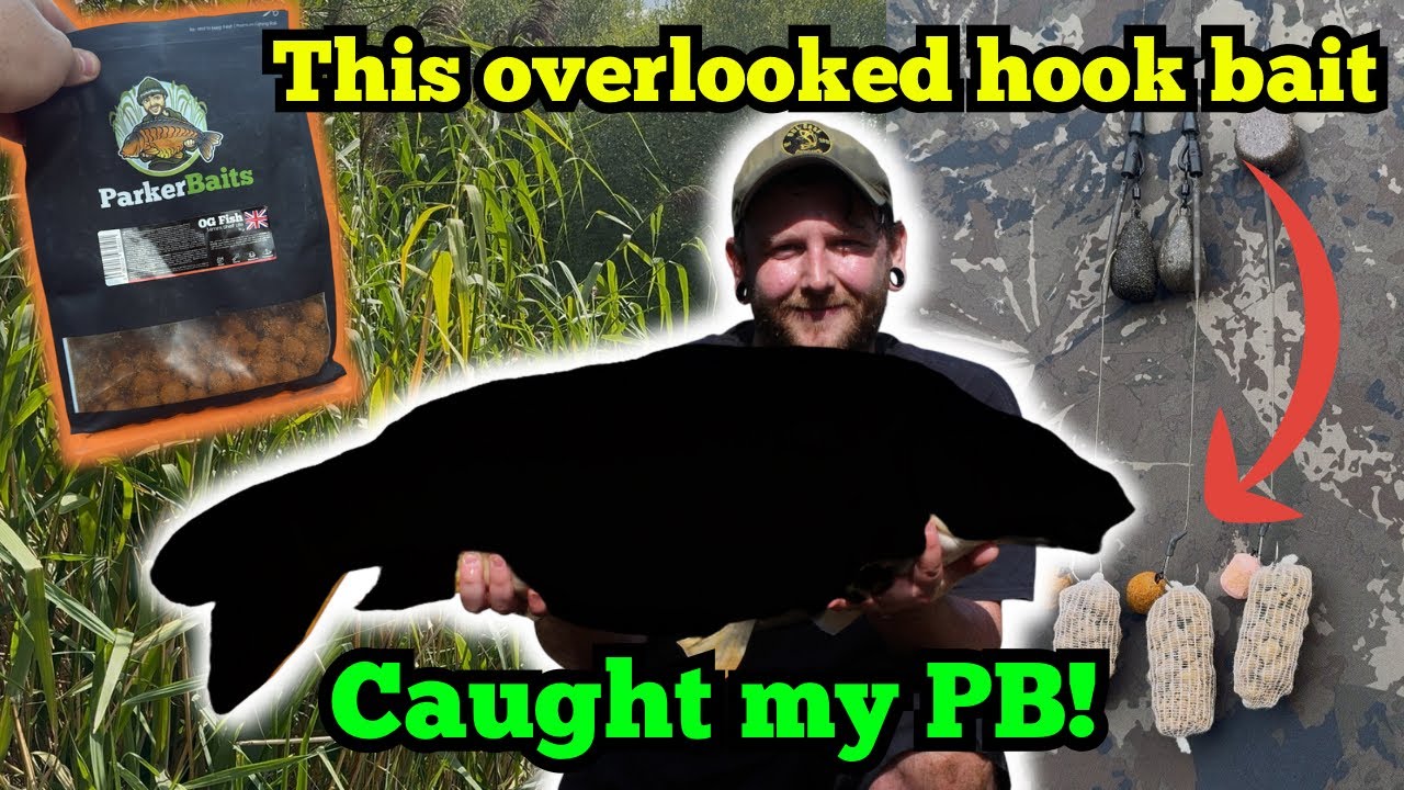 This Over Looked HOOKBAIT Caught My New PB!