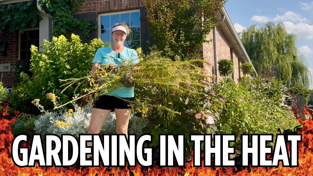 🔥 Braving the Heat for a Front Garden Refresh with Vinca, Trellis & Seed Saving!