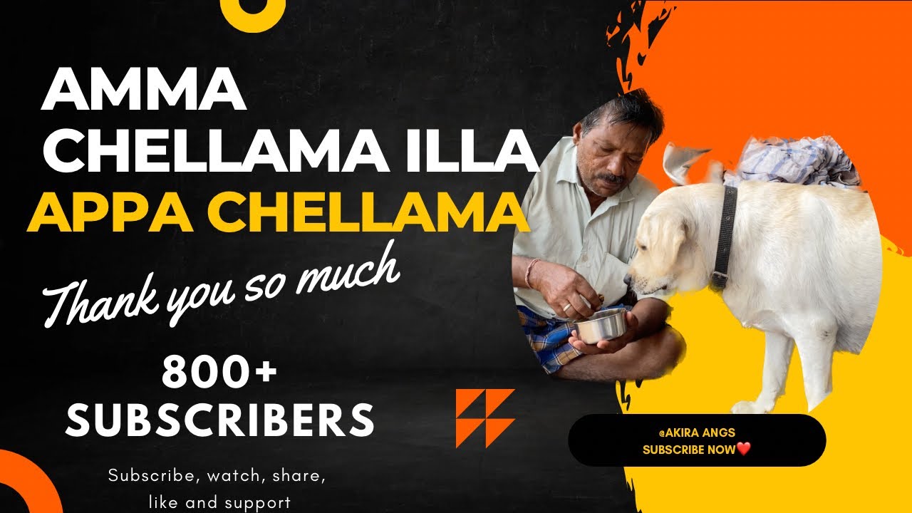 Nan amma👩🏻chellam illa appa🕺🏻anna akka🦸‍♀️nu family 💗ke chellam ️ # ...