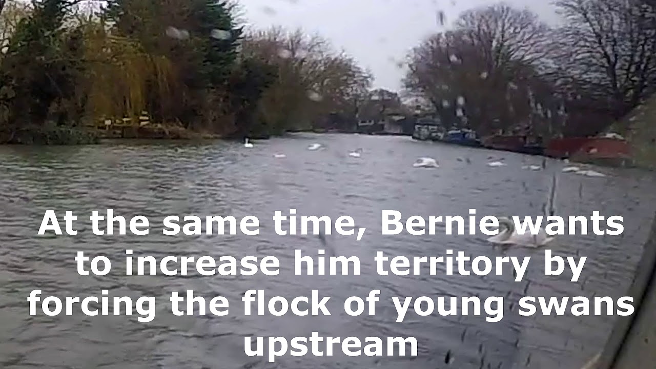 Mexican Standoff Quotes mexican-standoff-quotes