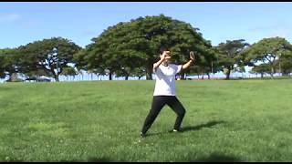 Wu/Hao Tai Chi 武/郝太極拳