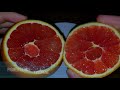 Citrus orange cara cara navel