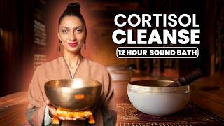 Calming Cortisol Cleanse | Parasympathetic Nervous System Healing | Sound Bath Meditation