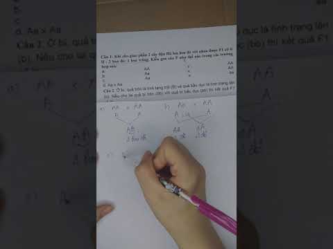 Video GIẢI BÀI TẬP SINH HỌC LỚP 9 CƠ BẢN VÀ DỄ HIỂU - YouTube