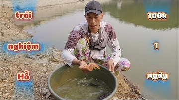 Trải Ngiệm Hồ 100k 1 Ngày