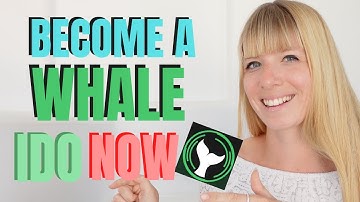 White Whale IDO Bootswap | Fair Launch Liquidity Bootstrapping Pools on Terra | Wealth in Progress