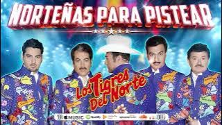 Los Tigres del Norte 🐯 | Puras Norteñas Viejitas Pero Bonitas - Corridos y Éxitos Legendarios 🎶