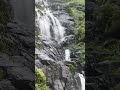 valparai water falls 🌊🌧