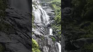 valparai water falls 🌊🌧