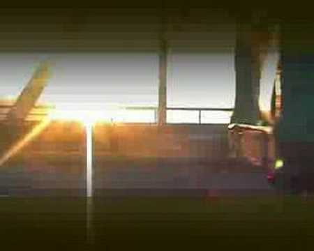 Bizarre - Shelter