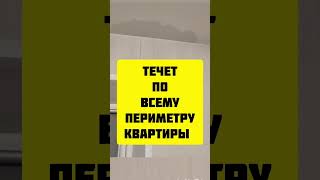 Квартира в новостройке. Стены все мокнут и протекают швы.