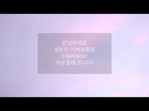 모집마감|[세븐틴 커버보컬팀 CAMOMILE] - 멤버모집공지