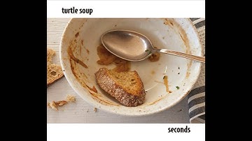 "Someday" by Turtle Soup (feat. Tim Palmieri)