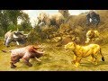 Furious bull hound vs angry weird creature 3d  simulator