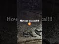 Ночная сказка и вера в чудеса 🥰 #рек #shortvideo #сказка #чудеса #топ #тикток #мечты #любовь