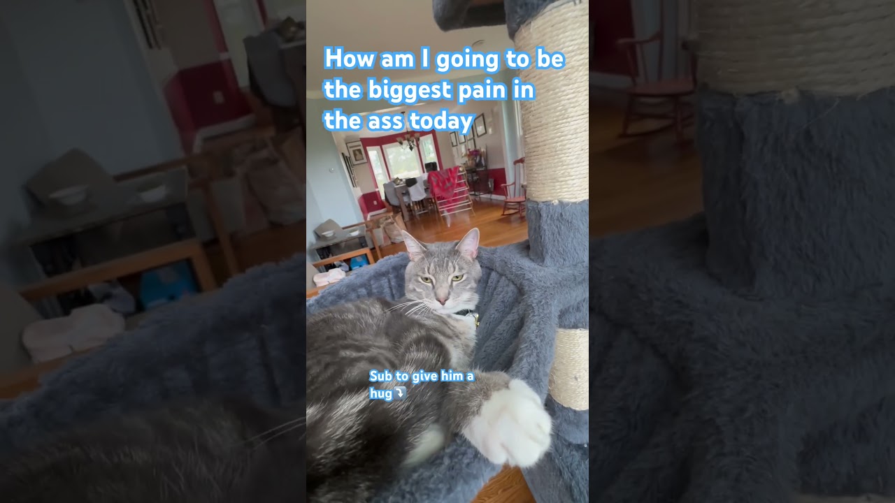 It’s a fair question😂 