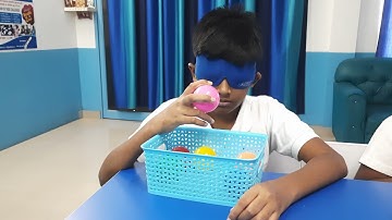 Identifying colors in blindfold. Midbrain activation by Great Brains