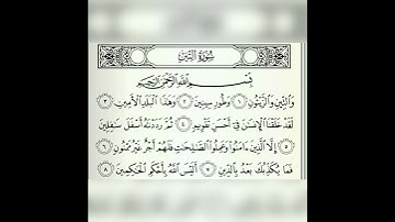 سورة التين | علي الحذيفي