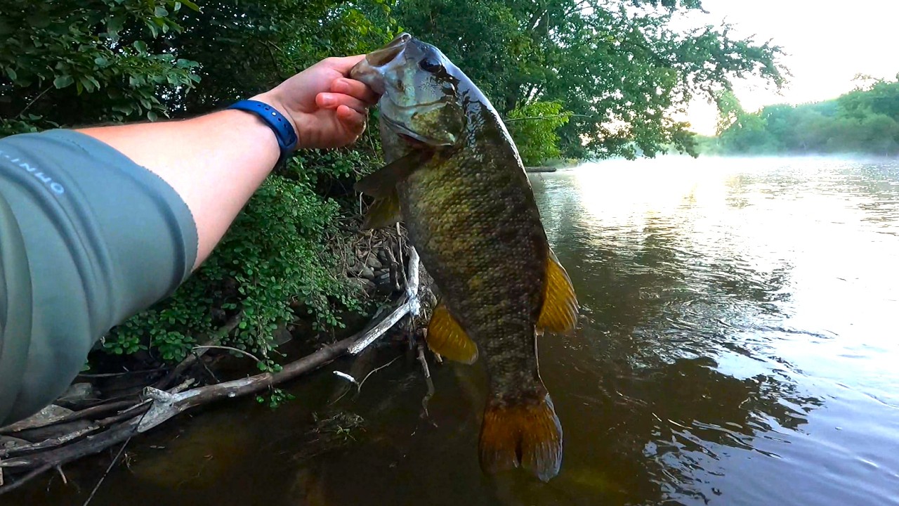 The Smallies Were CRUSHING This Lure!