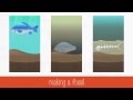 Evidence of Evolution Through Fossils and Anatomy