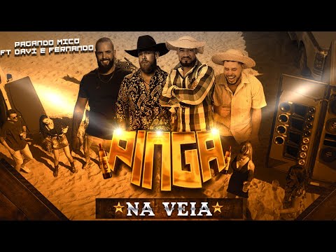 Pinga na veia - Chico Miséria e cumpade Zé feat Davi e Fernando