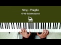 Sting - Fragile (Piano Cover)