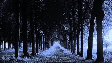 Song I made with LMMS: #4(In progress)