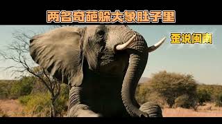 两名奇葩躲大象肚子里 #歪说闽南 #闽南语 #大象 #野生动物零距离