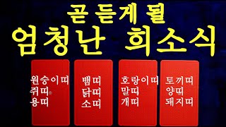 [타로] 2024년 갑진년 받게 되는 엄청난 희소식 띠별운세! 신비한 타로카드 리딩으로 확인해보세요! #띠별운세, #타로, #갑진년운세, #2024년운세,