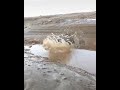 البداية غير النهاية 