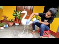 DIY Cement Craft । How To Make Pair Of Beautiful Flamingo With Cement And Thermocol At Home Easily ।