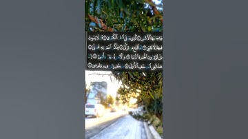 سورة الأعلى من صلاة التراويح ١١ رمضان ١٤٤٦
