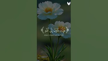 وكان الله غفورا رحيما 🌿 سورة الفرقان🌿 القارئ ابراهيم ادريس 🌿