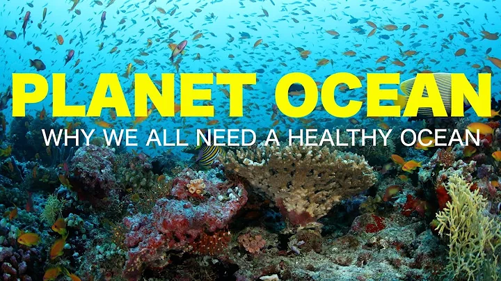 Planet Ocean Book Trailer By Patricia Newman and A...